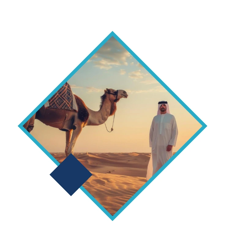 Auditing Services in Saudi Arabia